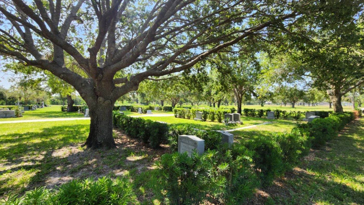 Jerusalem Gardens, the Jewish burial section in Venice, beneath mature oaks