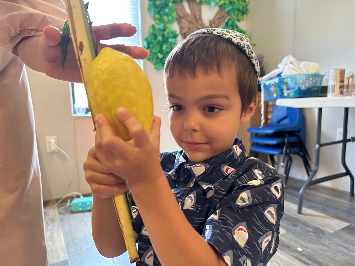 A lulav and etrog held together